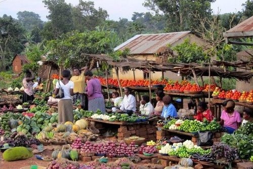 Small Market Business